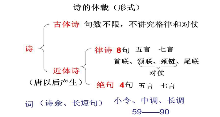 古代诗歌体裁图片