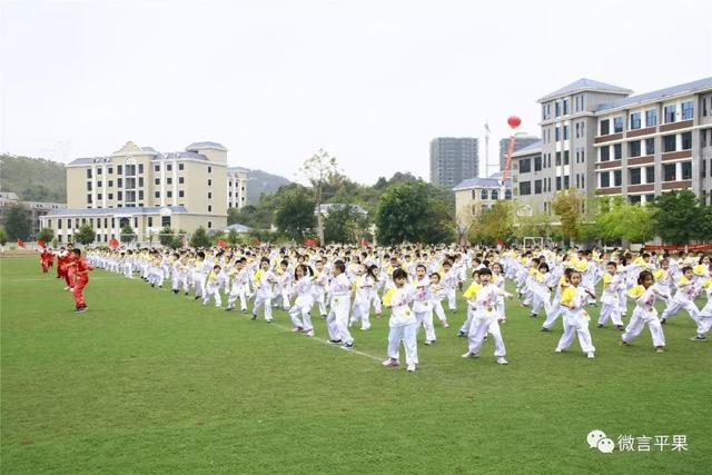 北京师范大学平果附属学校(北京师范大学平果附属学校是民办还是公办?)