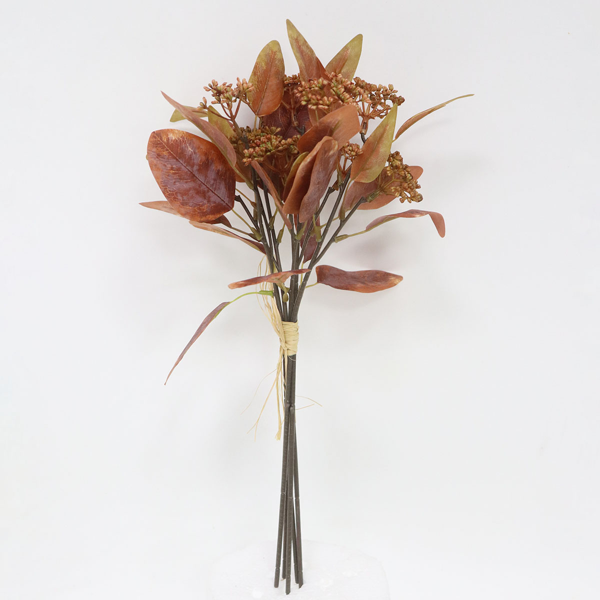 尖叶尤加利的艺术价值