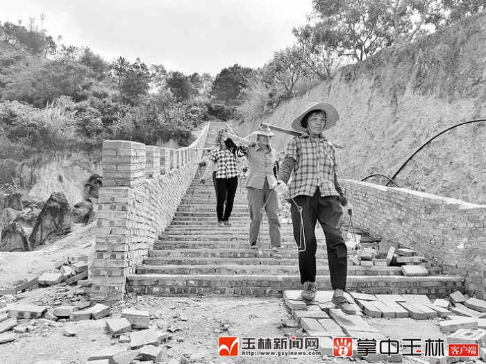 兴业县蒲塘镇:打好"三张"牌 绘就乡村振兴新画卷