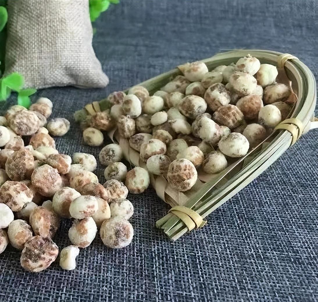 油莎豆消费将继续保持稳定增长趋势