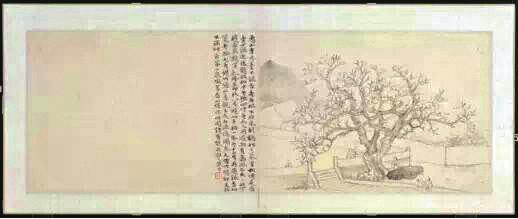 惠山寺古银杏几岁?古画中觅孤证