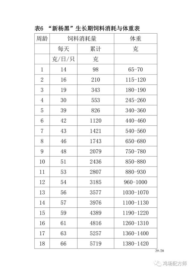 新杨黑蛋鸡饲养管理手册