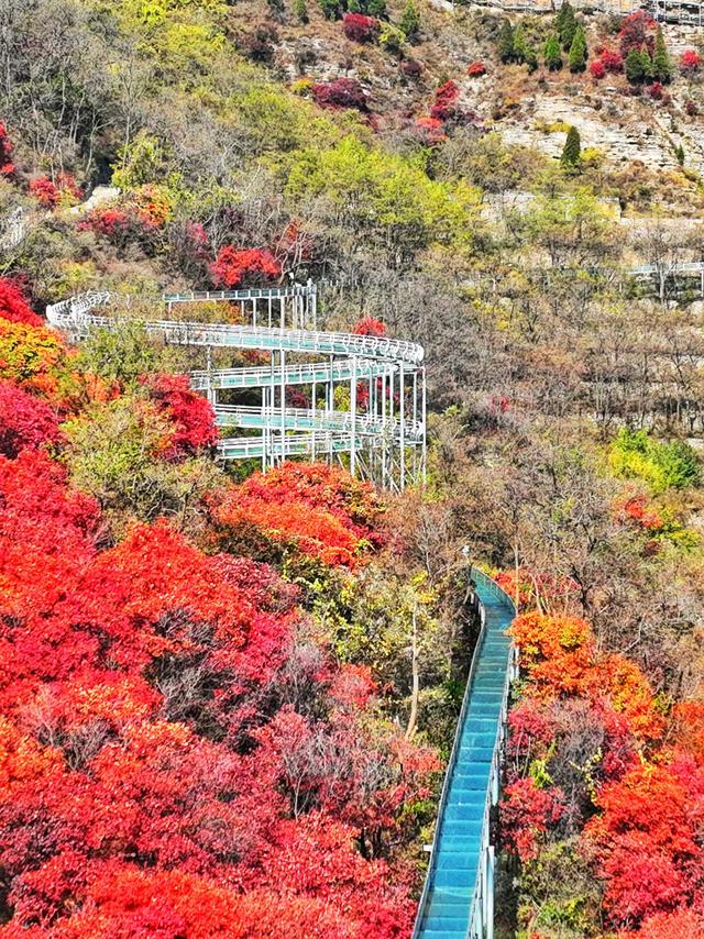 淄川红叶景点大全图片