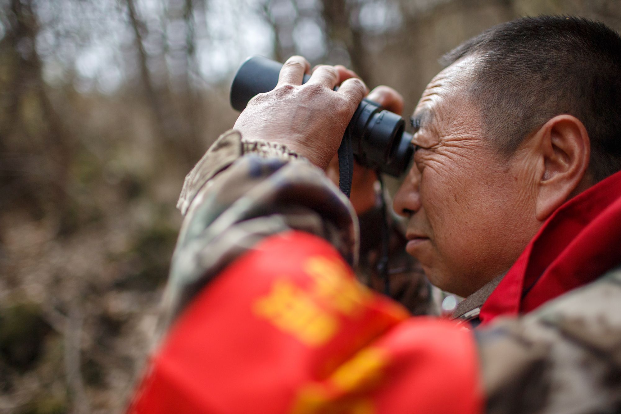 北京密云护林员,行走在雾灵山间41年