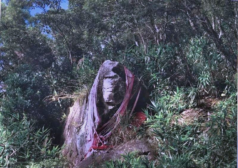 黎母山国家森林公园旅游攻略,体验热带生态之旅