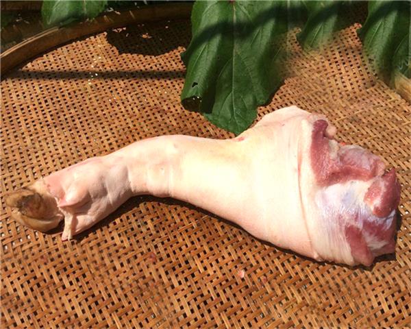 猪后丘是哪个部位