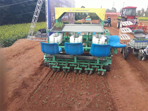 芹菜移栽机