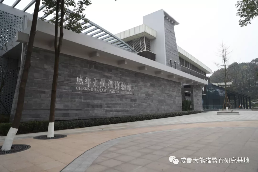 成都大熊猫博物馆今起恢复对外开放,瞬时最大游客量450人