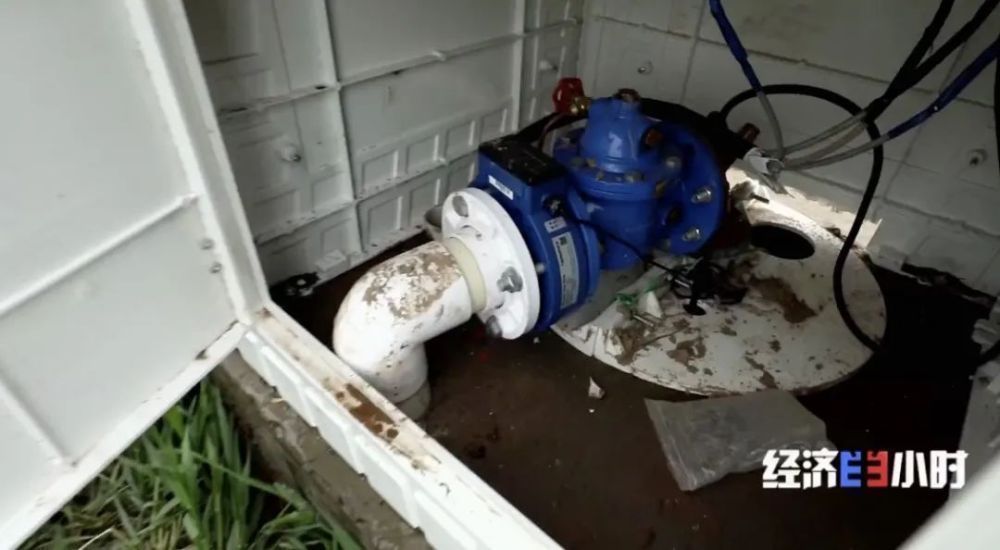 水泥墙里塞泡沫?投资千万"水利工程"变"样子工程"