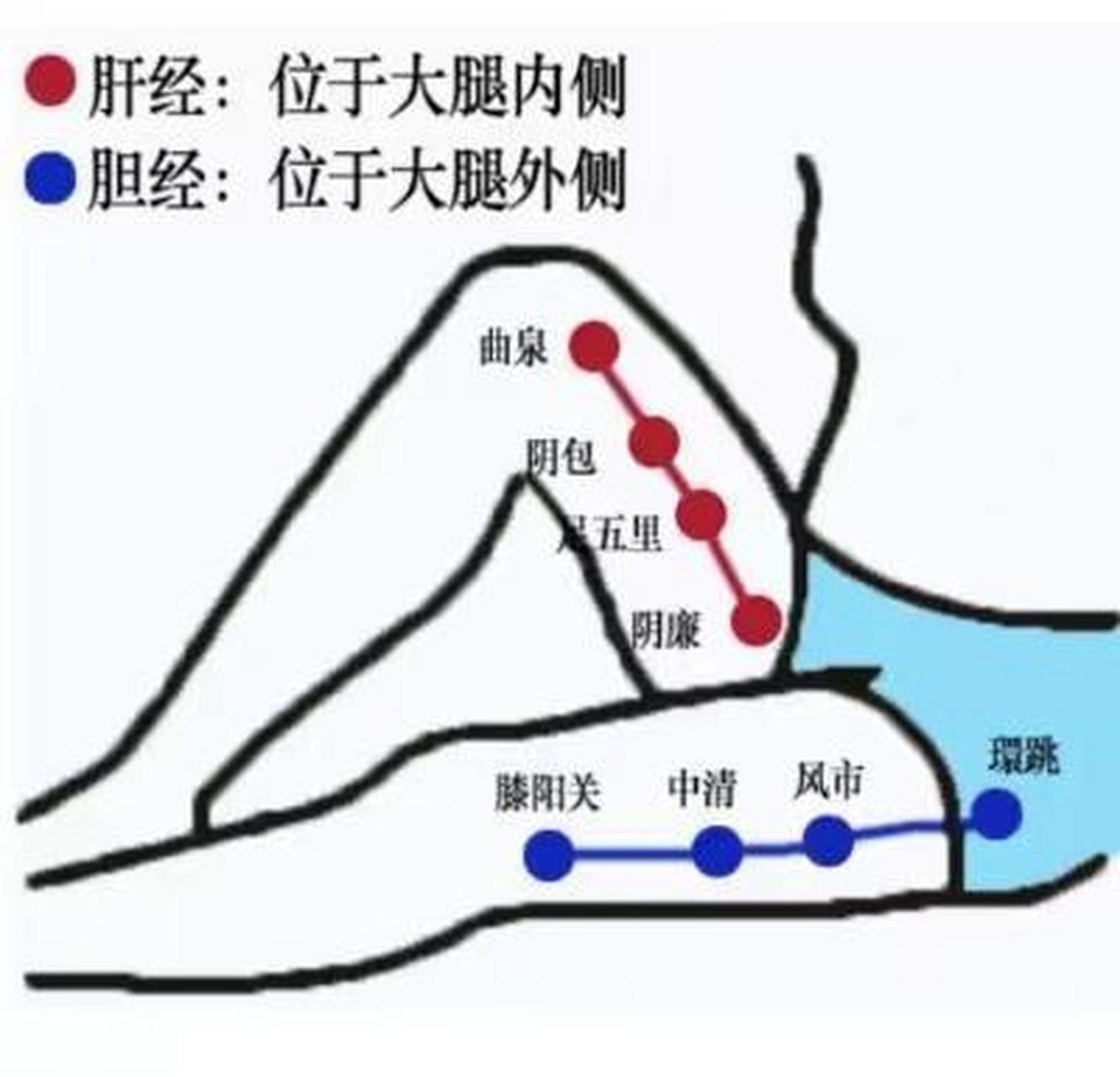 这个动作就是敲打大腿内侧,空闲可以花几分钟敲打敲打,坚持下去,会有