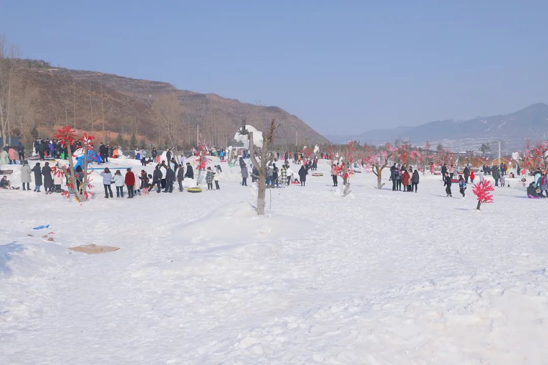 助力冬奥会 共筑冰雪梦—渭源县法院开展滑雪主题党日活动