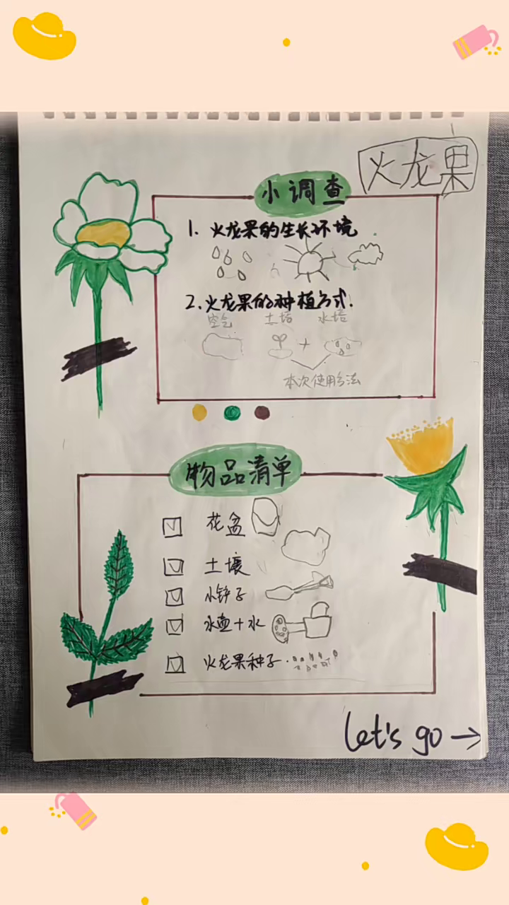 幼儿园植物观察记录~火龙果种植