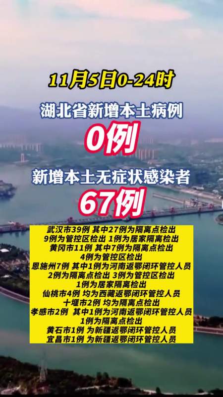 2022年11月5日湖北省新冠肺炎疫情情况最新疫情通报