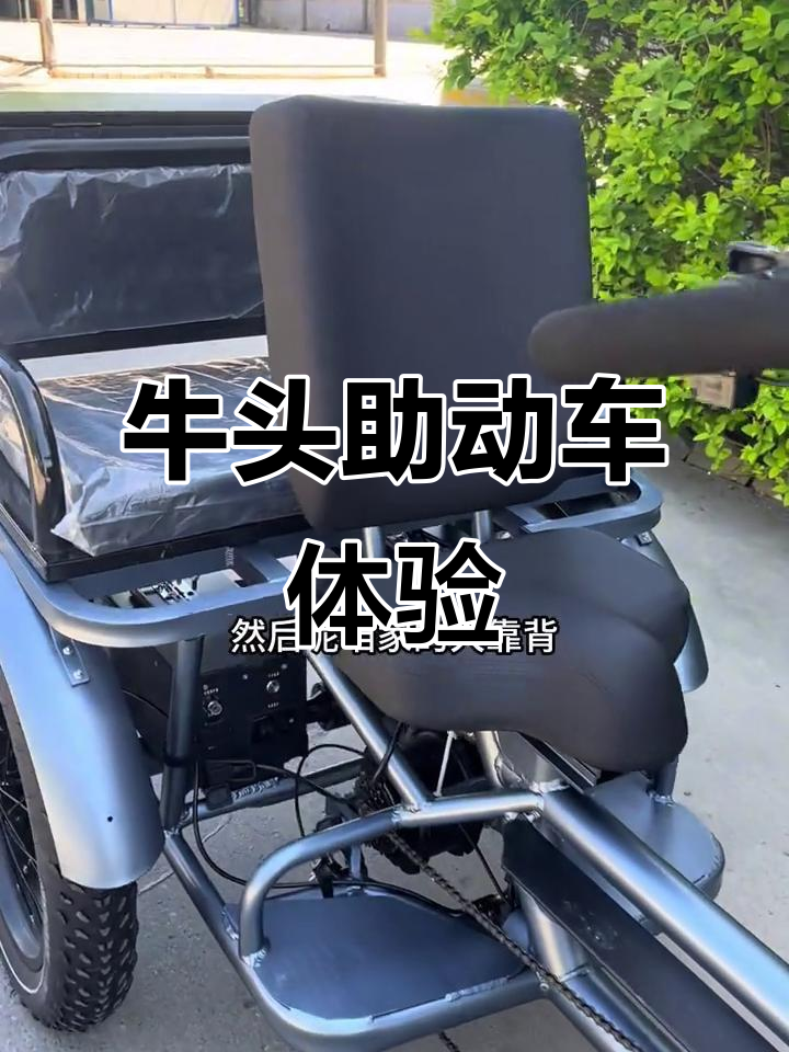 牛头助力三轮车外观大揭秘,带你追风驰骋!