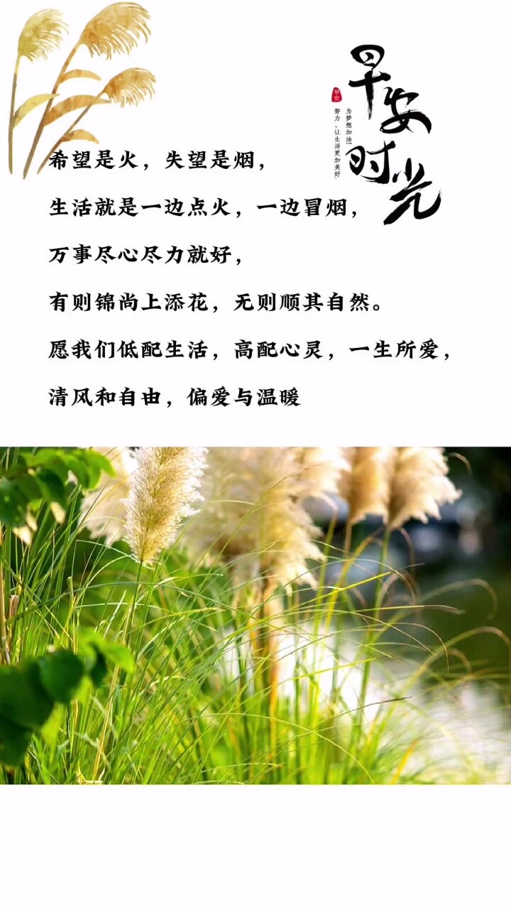 万事尽心尽力就好