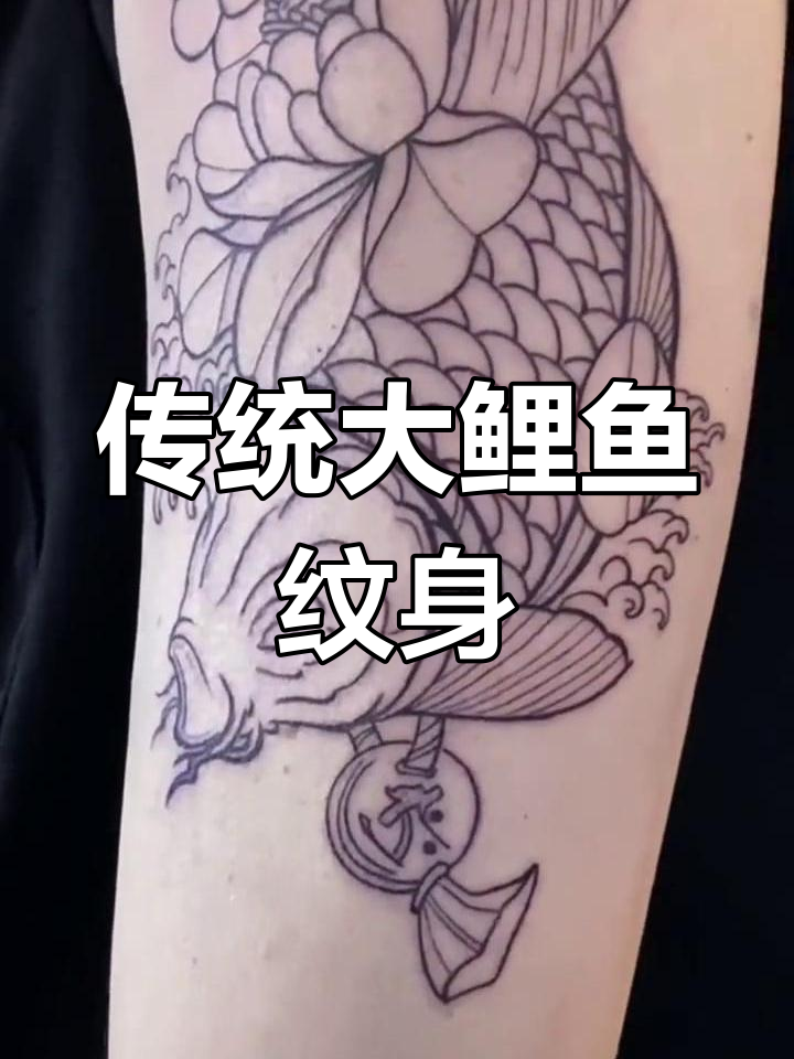 大鲤鱼莲花纹身设计