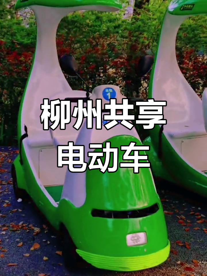 柳州市共享电动车,轻松出行新体验