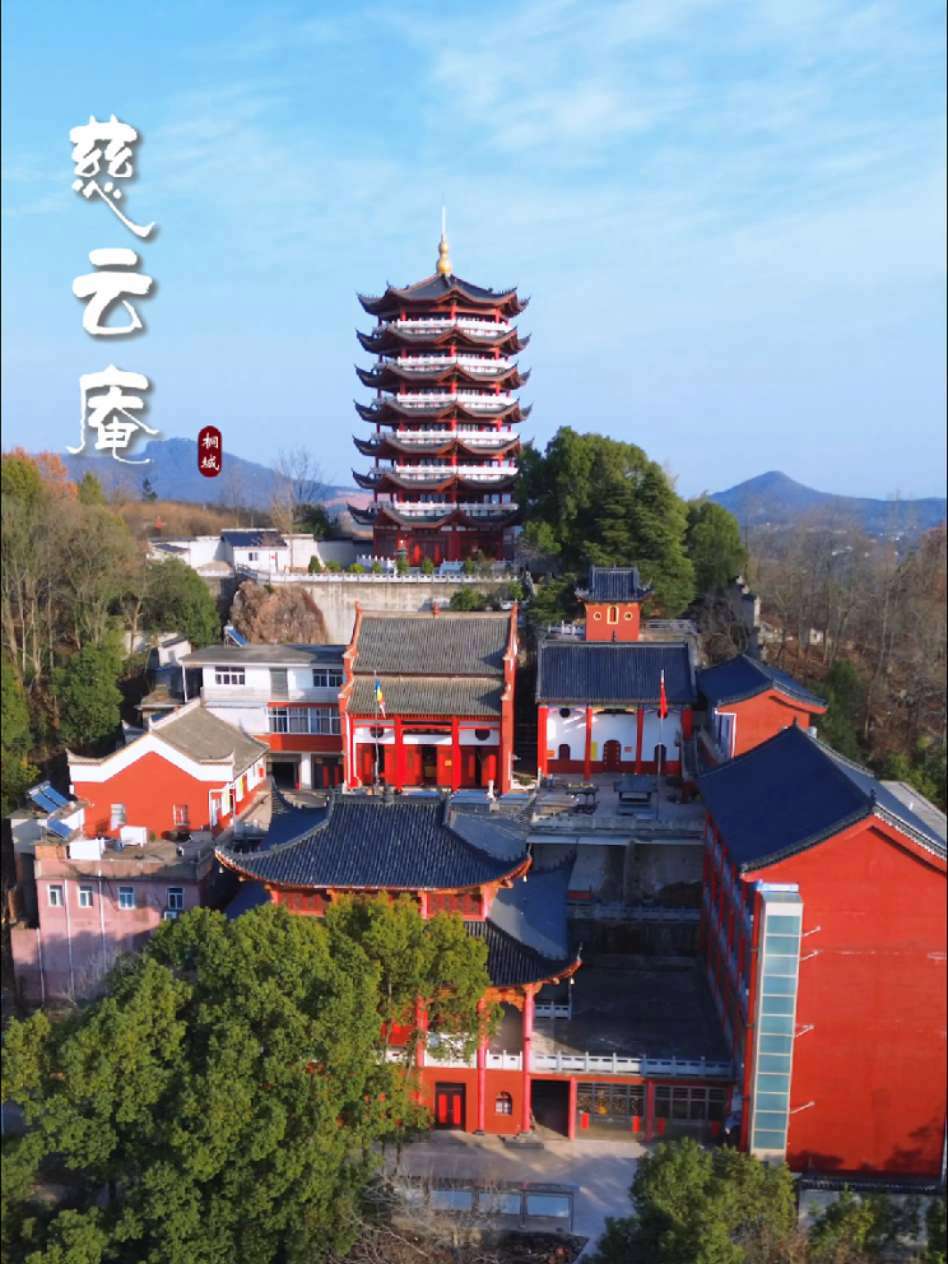 ,枞