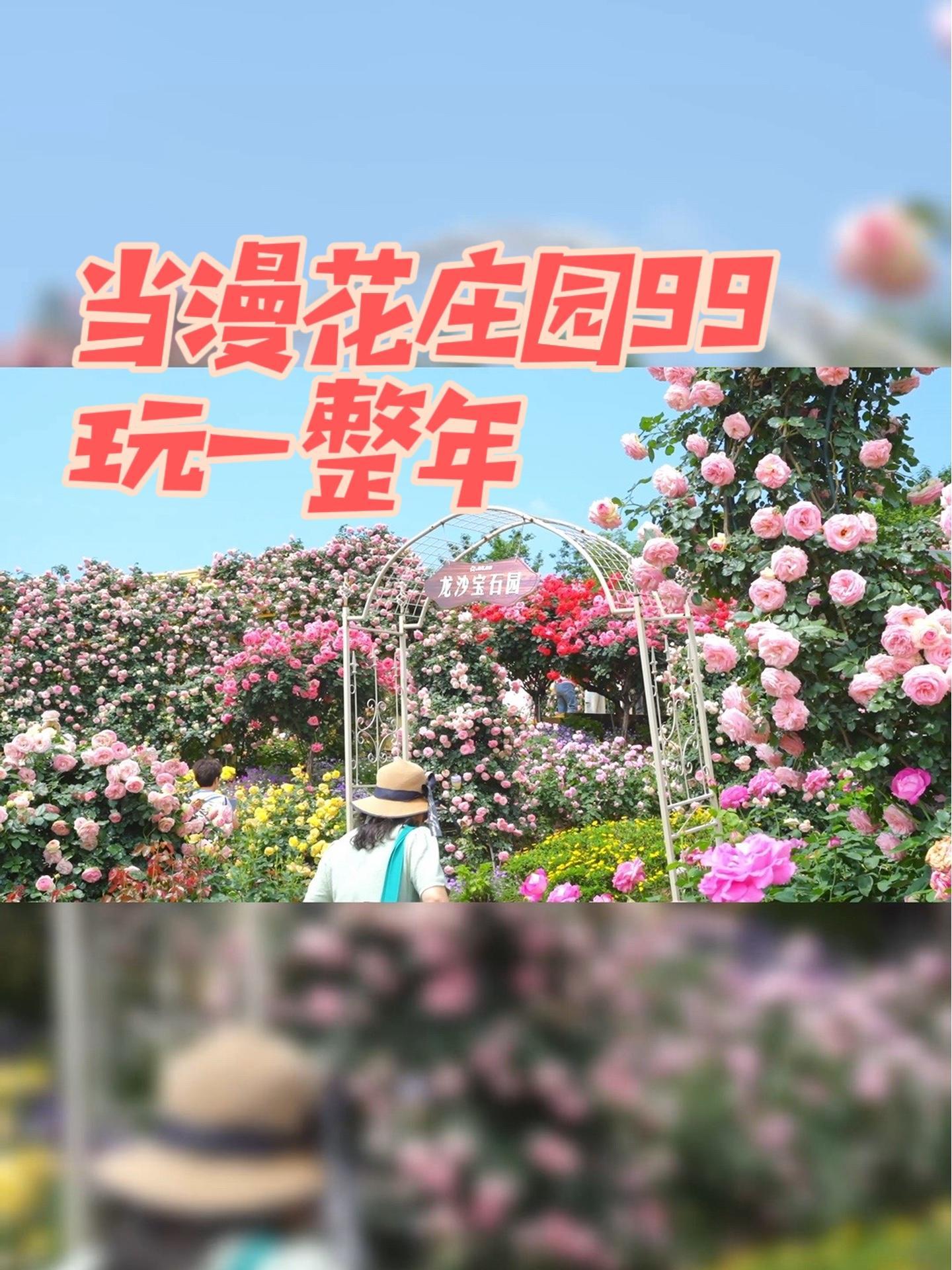 99漫花庄园玩上一整年!