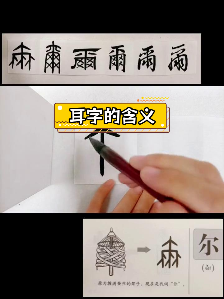 耳字的演变过程图片图片