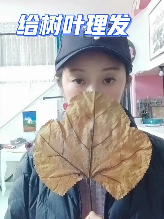 叶子的剪发图片