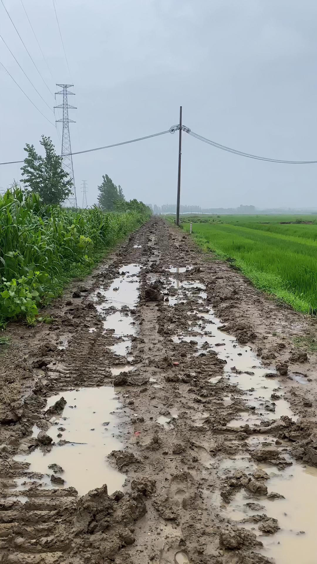 家乡农田的小路,下过雨就成这样了,挽起裤腿,赤脚走在泥巴里,这样的路