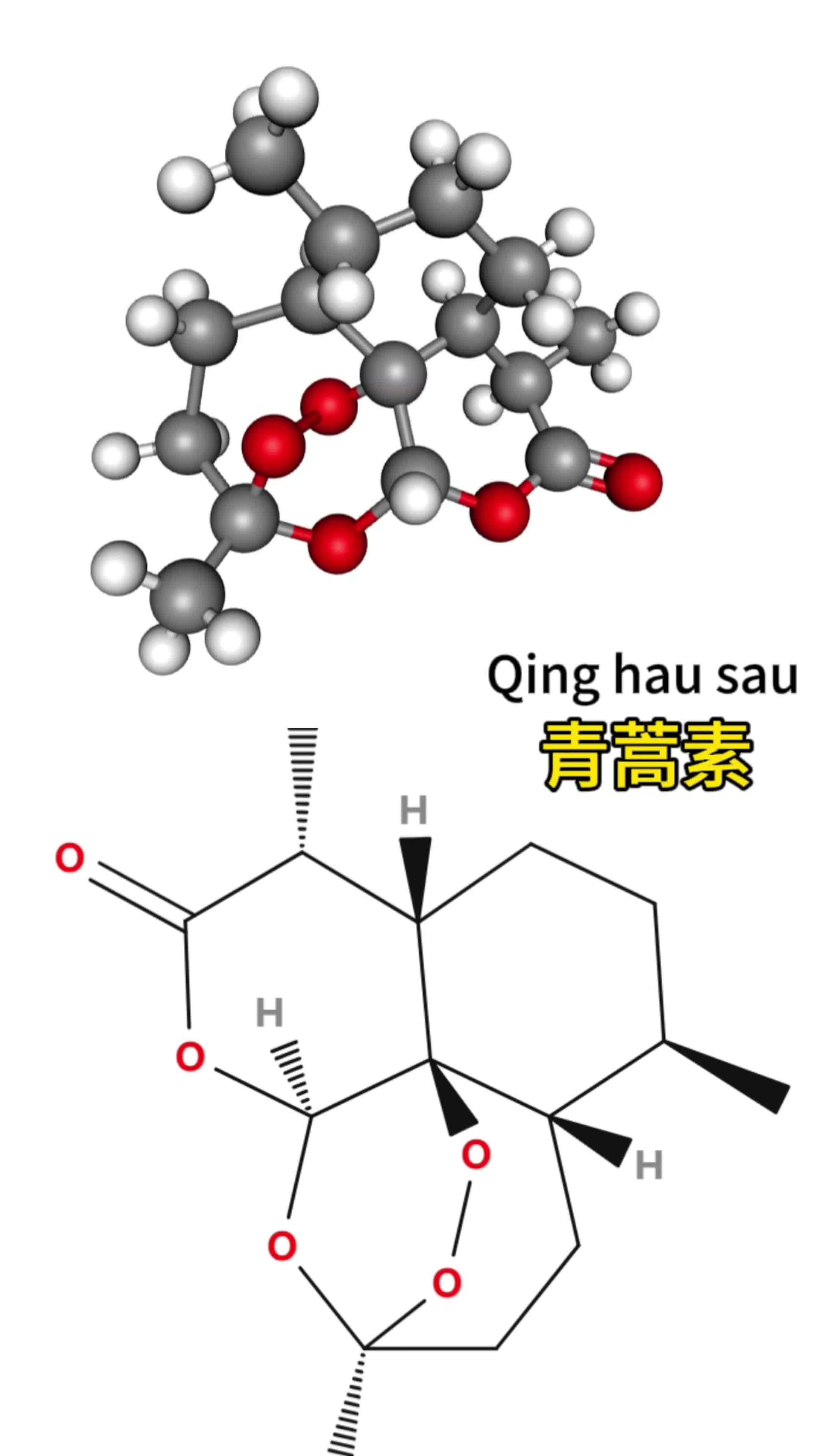 氨气的球棍模型图片图片