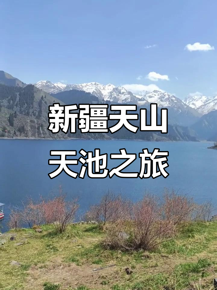 新疆游天山天池说说