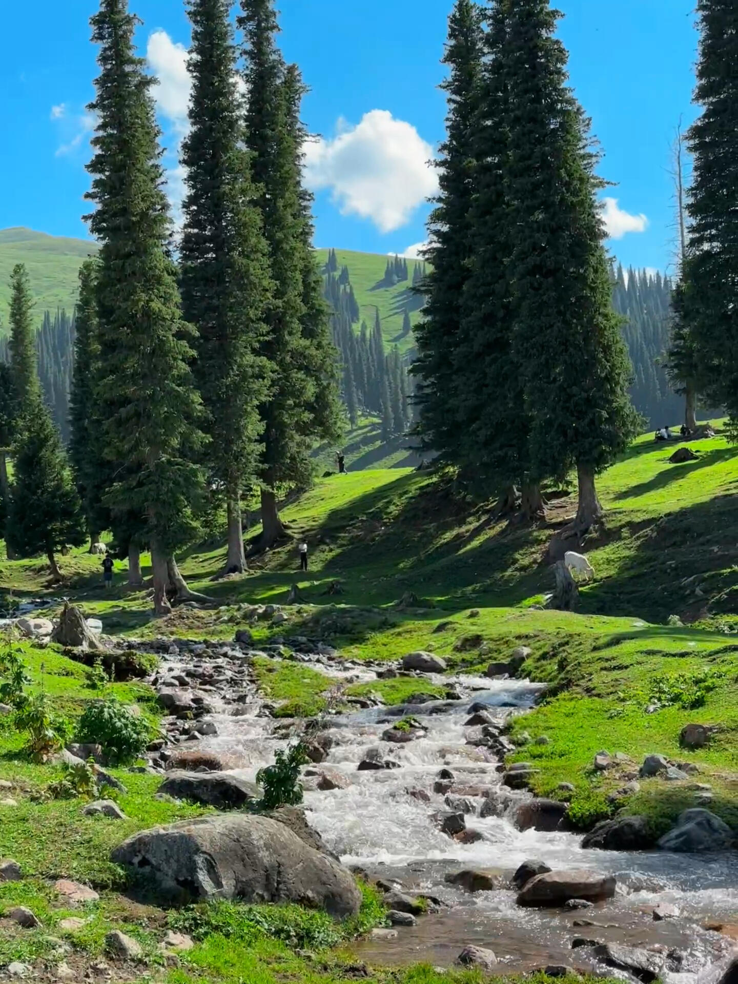 已经开始期待新疆的夏天了