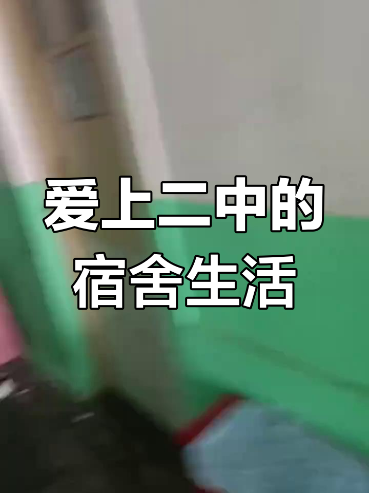 二中宿舍的奇妙夜晚,水泥土与猫的故事