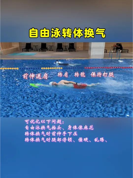 腿变形,停顿,乱踢等问题,练转体换气哦 自由泳 学游泳 自由泳转体换气