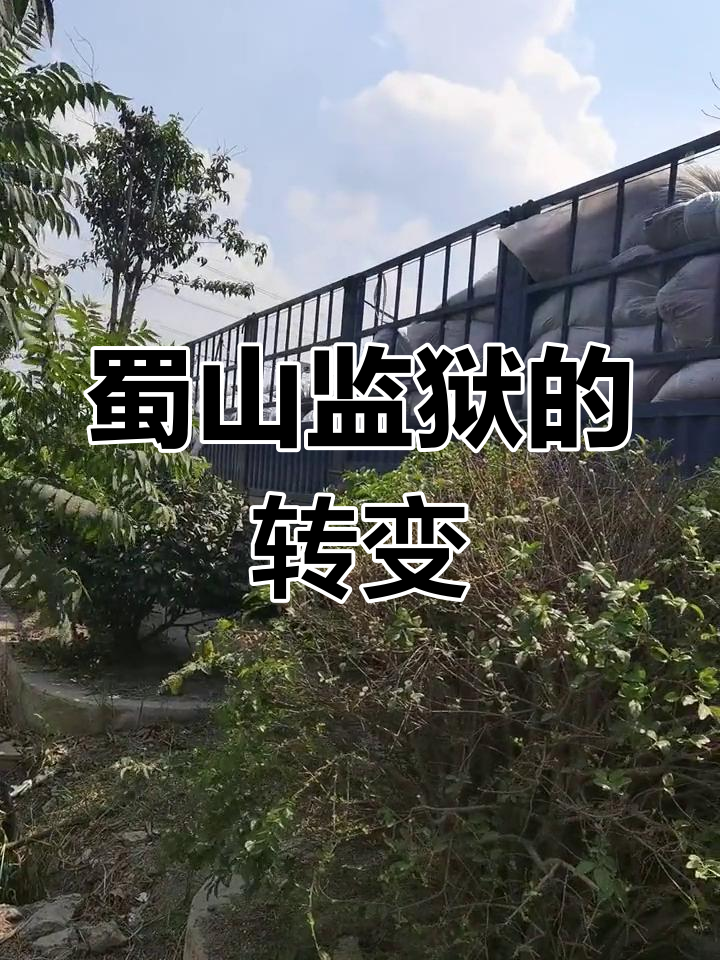 合肥蜀山监狱:改变人生的地方