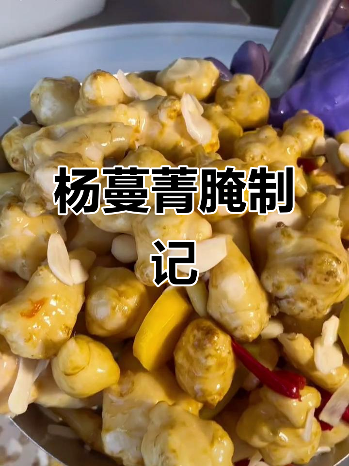 腌好的杨蔓菁,酸脆开胃,赶紧尝尝!