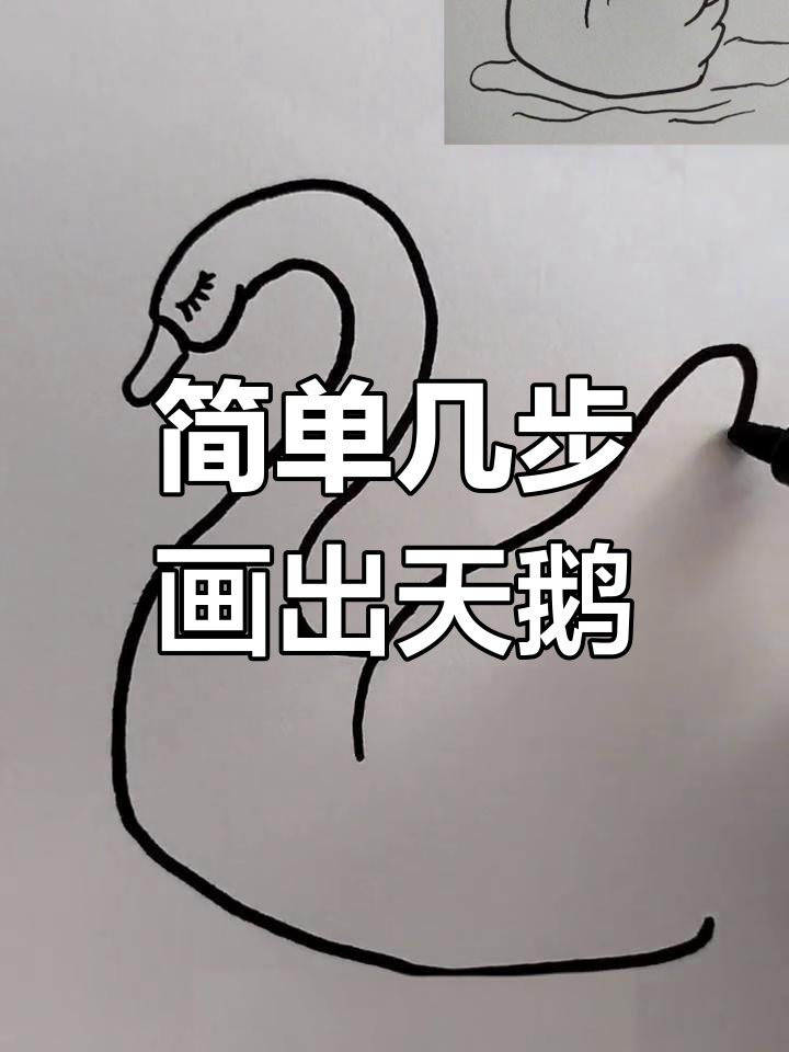 怎样画天鹅 简单图片