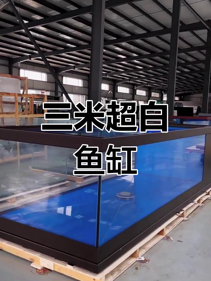 定制超白地缸,三米长一米的完美设计