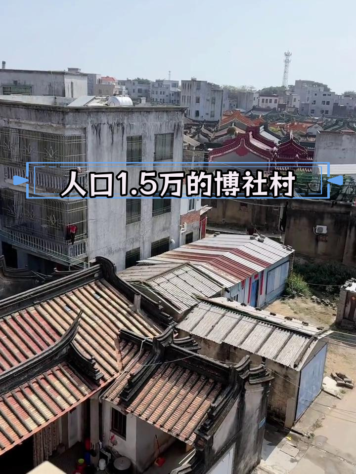 博社村:亚洲最大村落的魅力与挑战