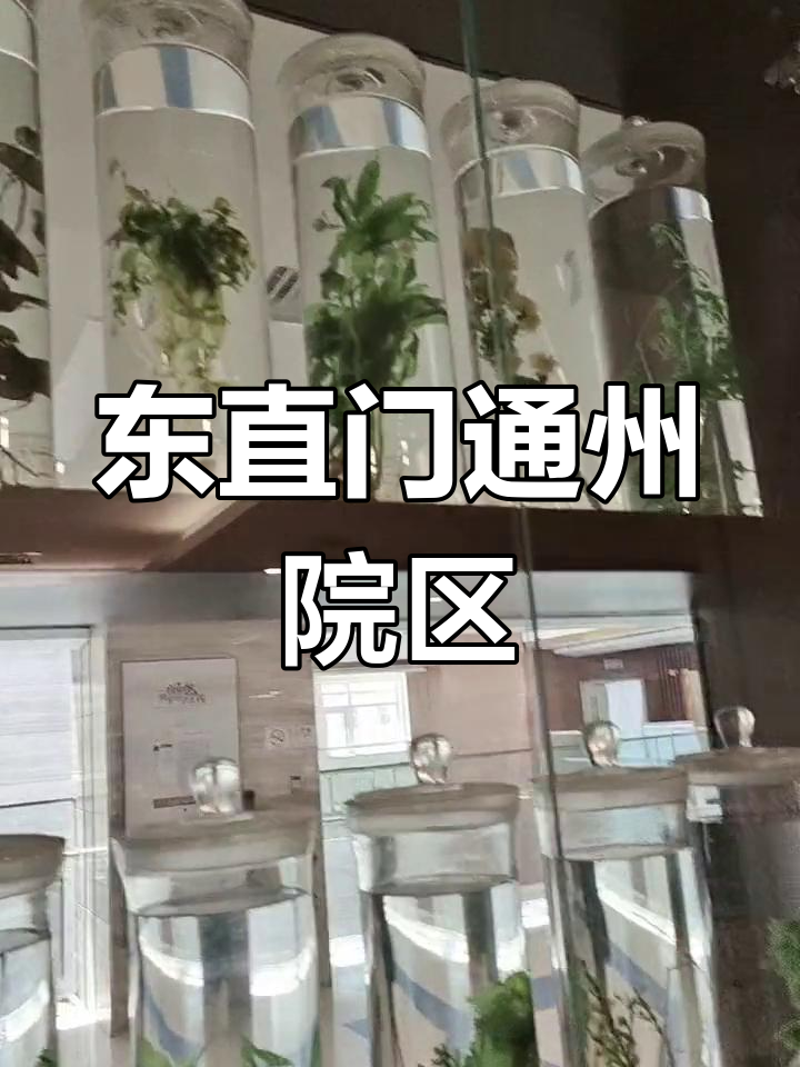 北京东直门中医院、昌平区号贩子挂号,效率第一,好评如潮的简单介绍 北京东直门中医院、昌平区号贩子挂号,效率第一,好评如潮的简单介绍