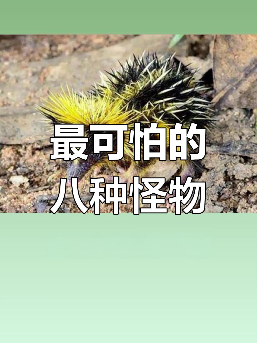 世界上最恐怖的八大怪兽,见过的人都吓坏了