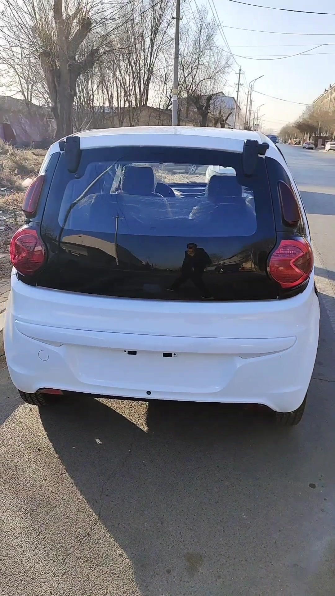 北京巽风奔奔款 北京巽风电动车 北京巽风电动汽车 四轮低速电动车