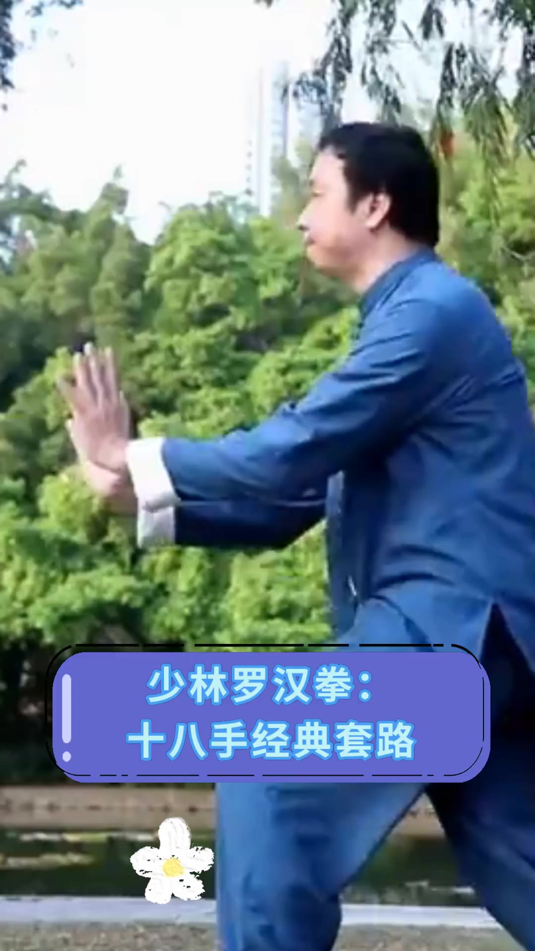 少林罗汉拳:十八手经典套路