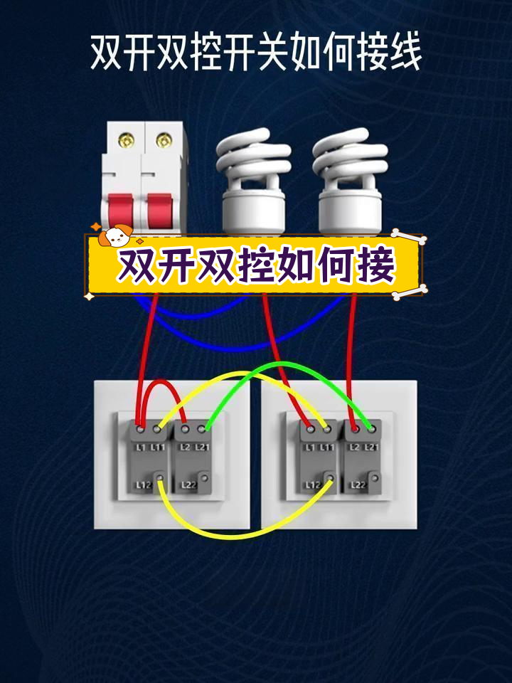 双开双控接线教程