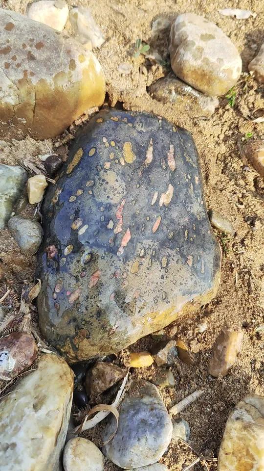 梅花石-奇石表面,宛如流星滑落