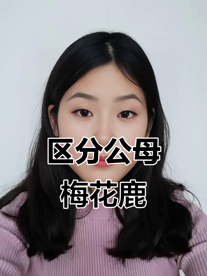 公鹿母鹿大不同,你能分辨吗?