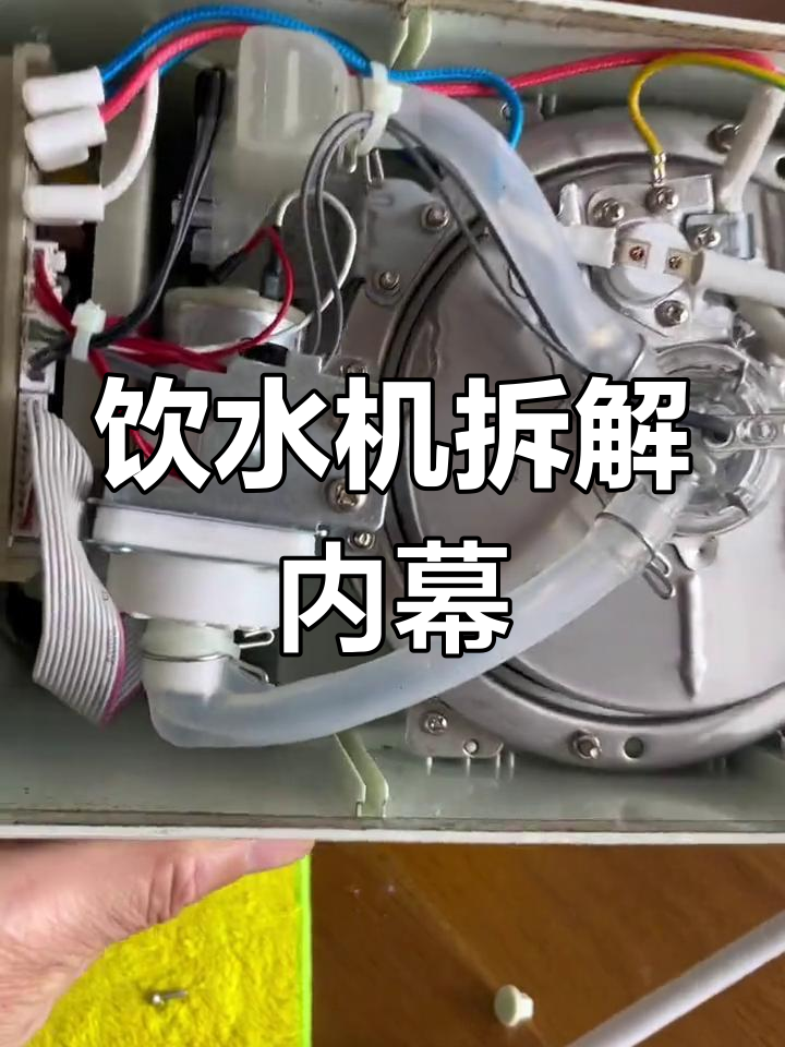 四年使用后的饮水机内部揭秘,管子竟然这样!