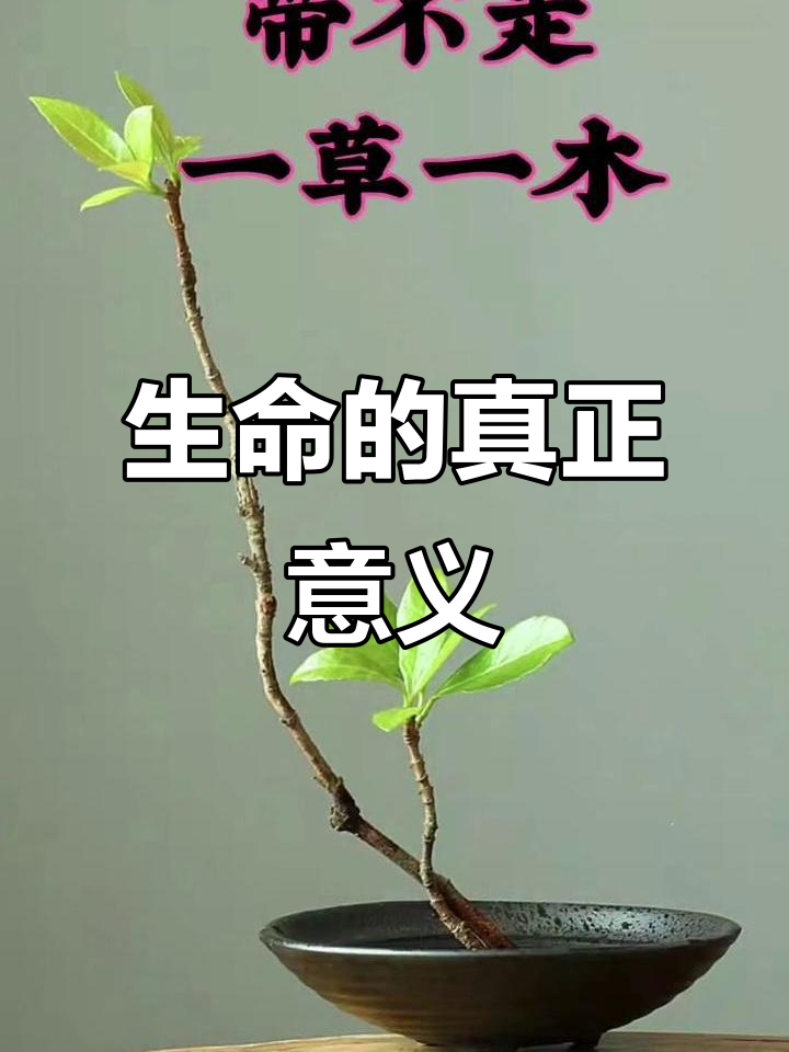 生命有限,我们为何而活?快乐与健康才是最终追求