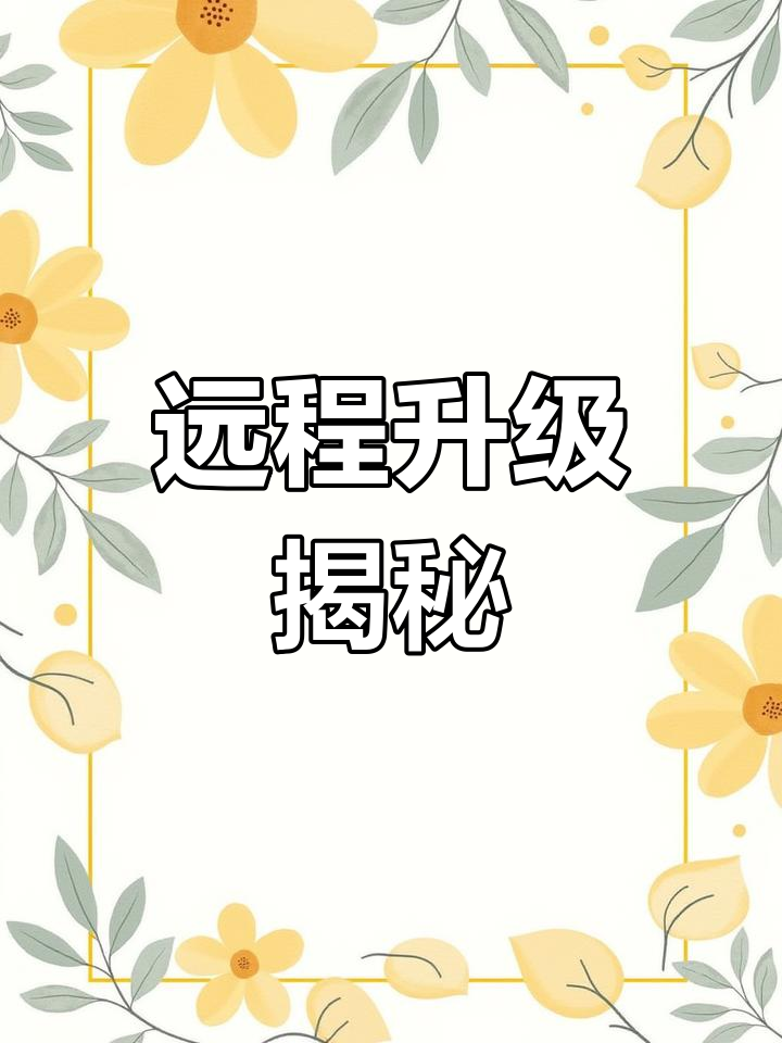 远程升级，远程升级功能