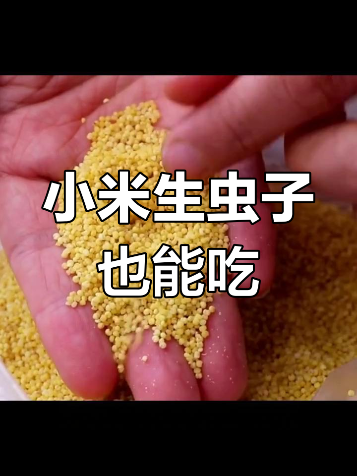 生虫小米变美味,炒一炒轻松瘦身又开胃
