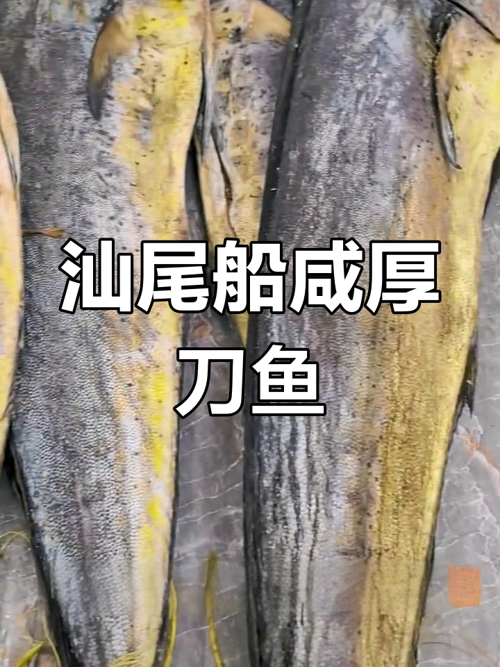 汕尾特色船咸厚刀鱼,鲜美至极