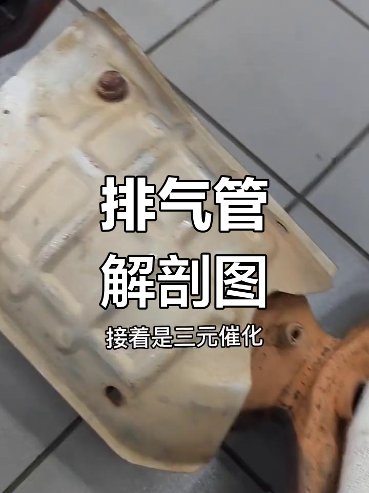 汽车排气管中段结构详解:从三元催化到尾端消音器